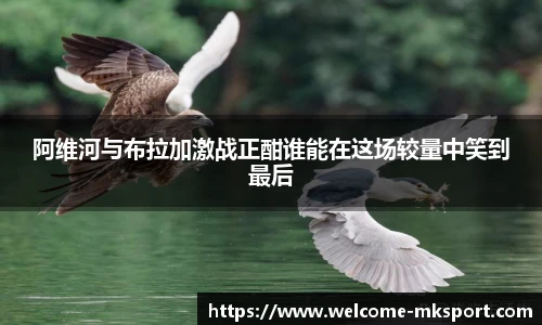 阿维河与布拉加激战正酣谁能在这场较量中笑到最后